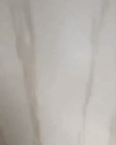 cuteanimalland giphyupload GIF