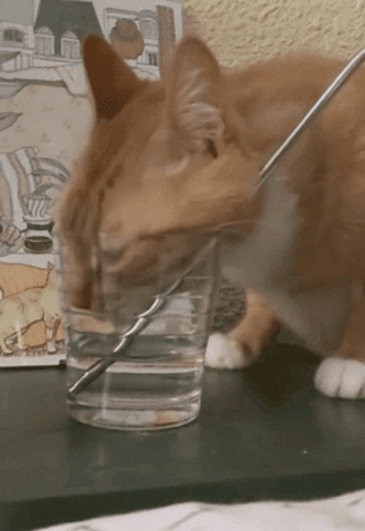 mmgarnica giphygifmaker giphygifmakermobile GIF