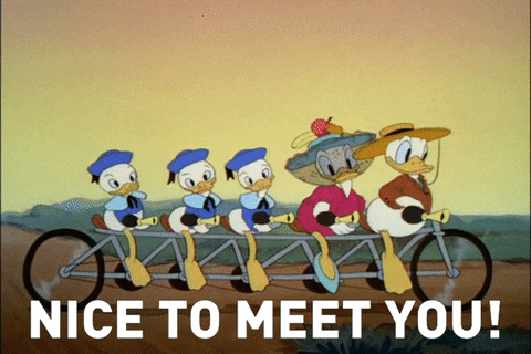 Good Day Hello GIF by Mickey Mouse