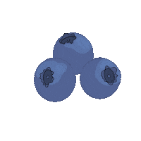 Blueberry Sticker by Nord Hard Seltzer