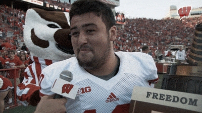 Celebrate College Football GIF by Wisconsin Badgers