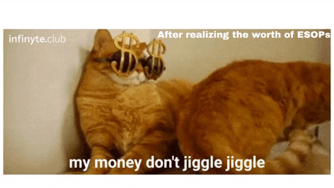 InfinyteClub giphygifmaker cat fun money GIF