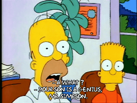 Season 1 GIF by The Simpsons