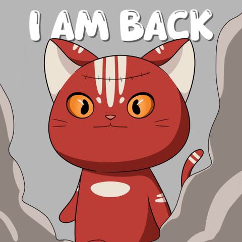 Cat Hello GIF by Kitaro World