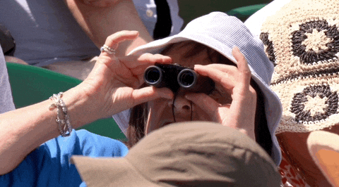 Sport Looking GIF by Wimbledon