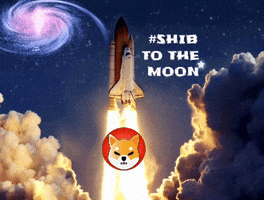 To The Moon Shiba GIF by SHIB MEMES