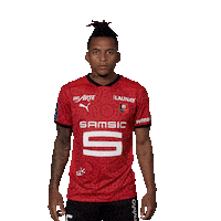 Ligue 1 Football Sticker by Stade Rennais F.C.