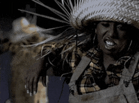Pass That Dutch GIF by Missy Elliott