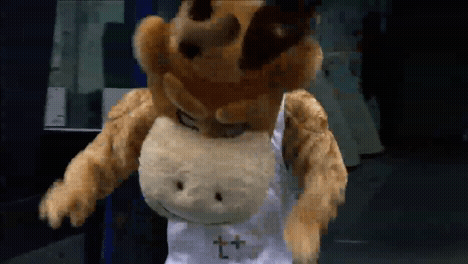 russia mascot GIF by Basketball Champions League