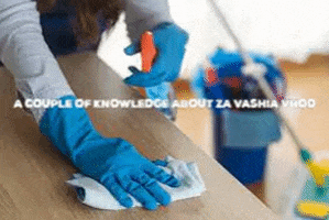 mofina giphygifmaker GIF