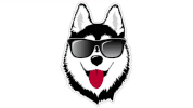 Niu Huskiepride GIF by Northern Illinois University
