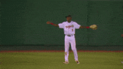 lansing lugnuts hug GIF