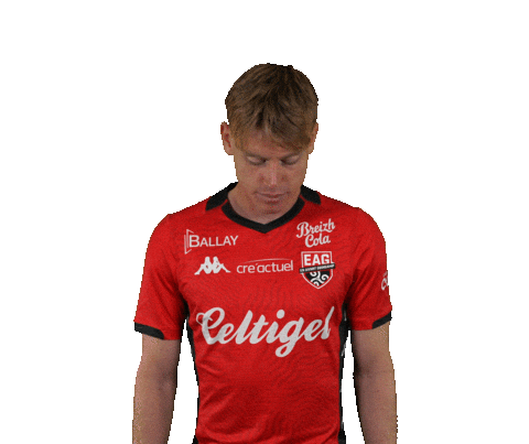 Ligue 2 Bzh Sticker by EA Guingamp