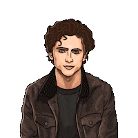Timothee Chalamet Smile Sticker by Ka-pow