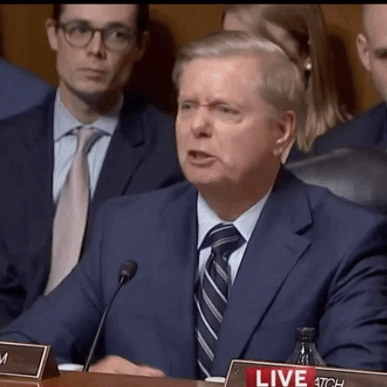 Lindsey Graham Kavanaugh Hearings GIF by Leroy Patterson