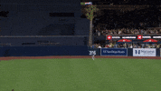 Celebrate Tampa Bay Rays GIF by MLB