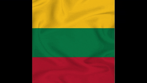 Flag Lithuania GIF by Tilis