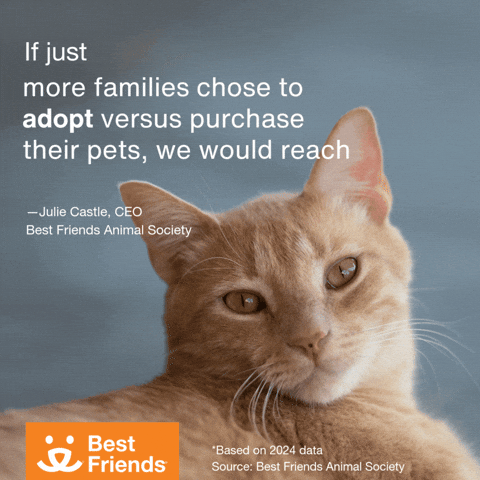 Adopt Best Friends GIF by Best Friends Animal Society