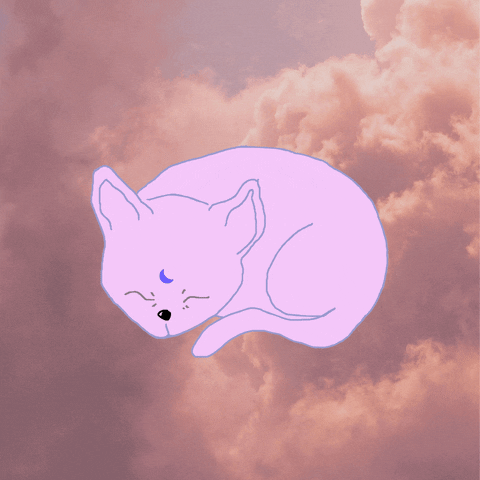 brisagif giphyupload GIF