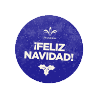 Felicesfiestas Felizanonuevo Sticker by Jeunesse Argentina