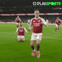 Celebrating Premier League GIF by Play Sports
