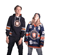 Happy Hockey Sticker by Växjö Lakers