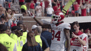 College Football Touchdown GIF by Arkansas Razorbacks