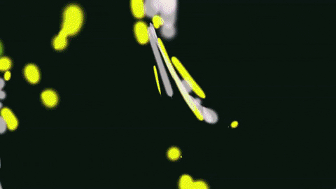 linneanea13 giphyupload kiss colors touch GIF