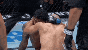 Mixed Martial Arts Sport GIF by UFC