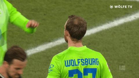 Football Celebrate GIF by VfL Wolfsburg