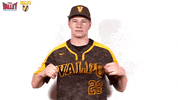 The Valley Mvc GIF by Missouri Valley Conference