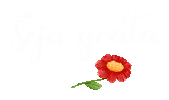 Gratidao Sticker