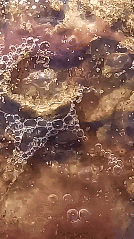 Simongip giphyupload GIF