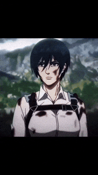 Mikasa GIF