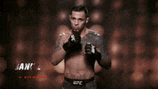 Sport Mma GIF by UFC