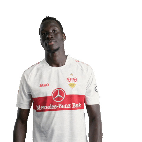 Move It Lets Go Sticker by VfB Stuttgart