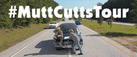 jim carrey harry dunne GIF by Dumb and Dumber To