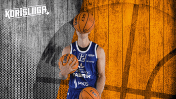 Koripallo Koris GIF by Basket_fi