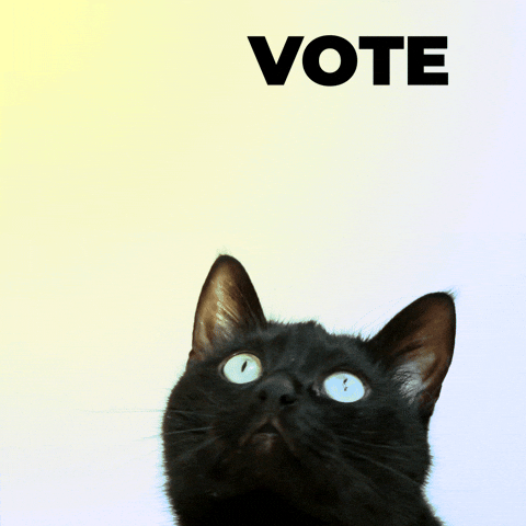 The word “VOTE” is moving around and a black cat is following it with its eyes.