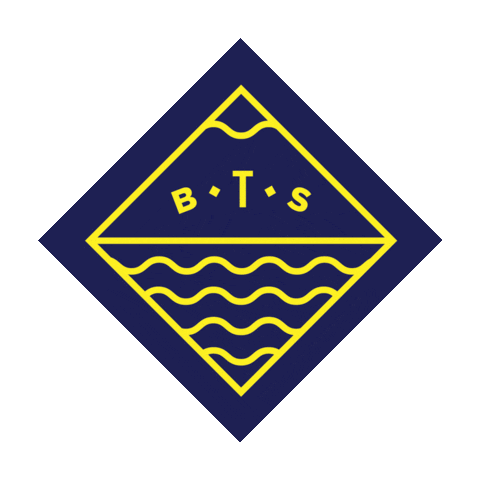 Bts Sticker by Beyond the Standard