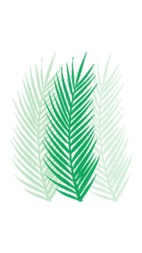 Hoi An Sticker by Visit Quang Nam