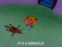 nickrewind nicksplat angry beavers GIF