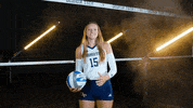 Georgia Tech Volleyball GIF by Georgia Tech Yellow Jackets