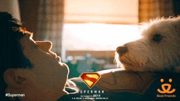 Wake Up Love GIF by Best Friends Animal Society