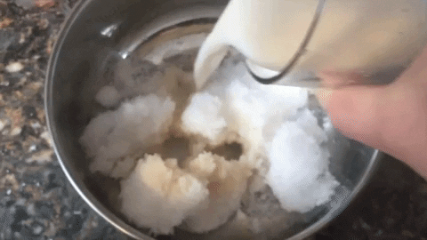 BDN_sschipani giphygifmaker GIF