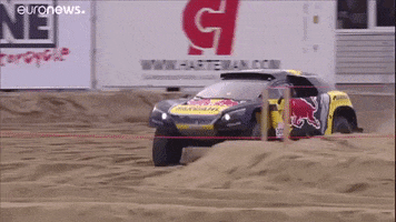 Buggy Loeb GIF by euronews