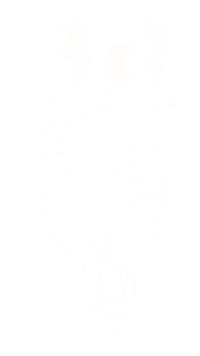 Noetnoet Sticker