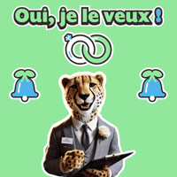 Oui Je Le Veux Wedding Planner GIF by solydari