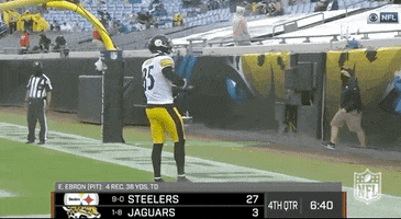 Pittsburgh Steelers Football GIF by NFL