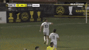 South Carolina Soccer GIF by Charleston Battery